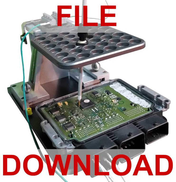 File Download